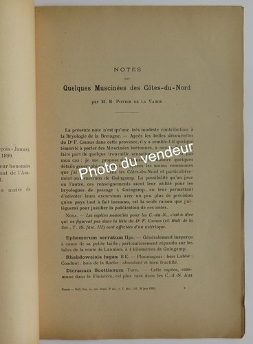 Botanique potier - (mousses):,