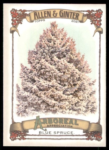 B4113 2021 topps - b4113-,