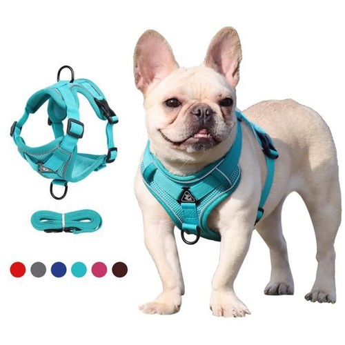 Harnais pour chien chat anti - chien,
