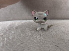AUTHENTIQUE LPS LITTLEST Petshop HASBRO - Chat européen - European Cat  #483