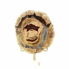 Lithophyse. 271.5 ct. Massif de l'Esterel, Var, France.