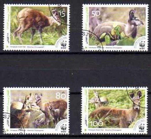 Animaux faune sauvage - faune,