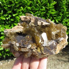 Minéraux Barytine En Cristaux Gemmosi Sur Matrice Pérou