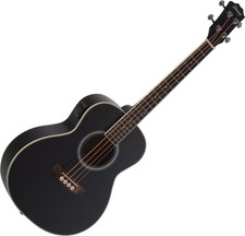 Basse acoustique Shaman Mini 4