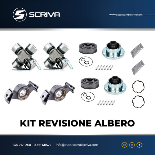 Set révision arbre - révision,