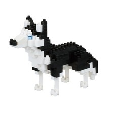 NBC264 Dogs Siberian Husky
