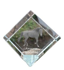 Cheval de selle américain dé