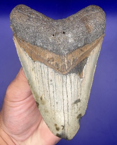 Diver recovered - 4.36”,