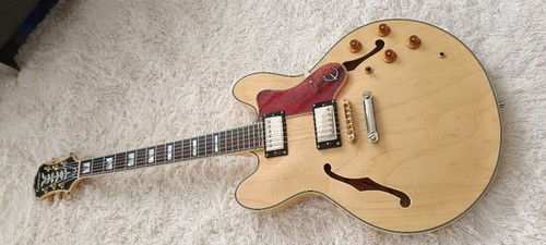 Epiphone sheraton safe - epiphone,