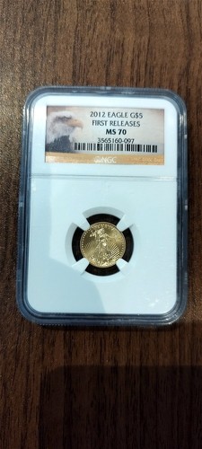 Pièce american gold - pièce,