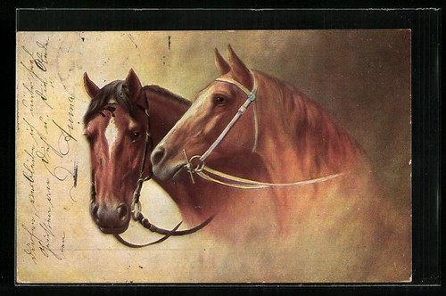 Carte postale deux - , chevaux