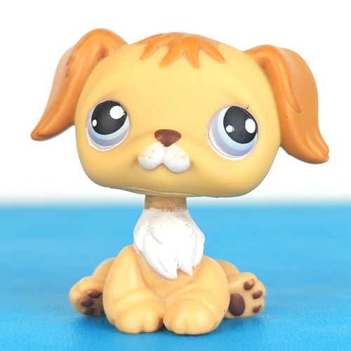 Authentic littlest pet shop - authentic,