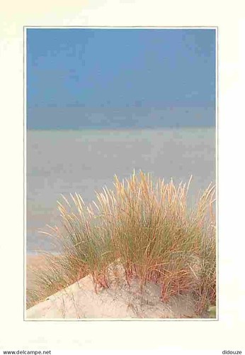 Carte postale bray - carte, 59