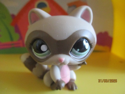Petshop raton laveur 1651 - petshop, raton-laveur