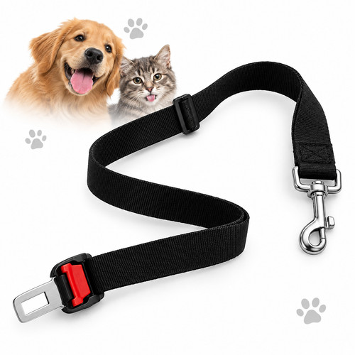 Ceinture sécurité chien - ceinture, chat