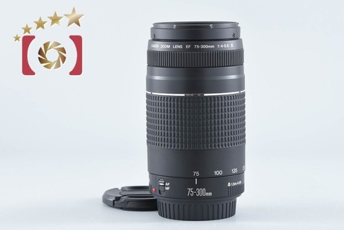 Canon 300mm 5 - 75-300mm, iii