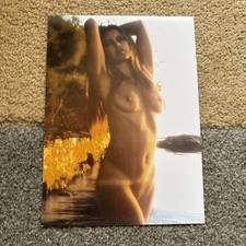 photo brigitte bardot