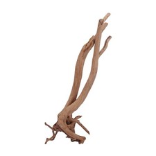 Aquarium Racine Déco Moignon