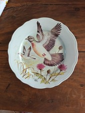 Ancienne Assiette Porcelaine