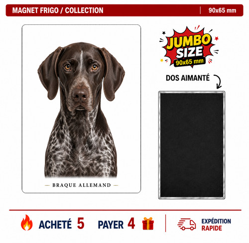 Magnet braque allemand 90x65