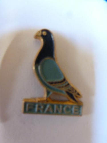 Pin pigeon dovecote racing - pigeon,