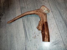 pommeau canne cerf corne , andouiller -  cochon tete mort sculpté