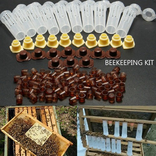 élevage tasse kit gardem - tasse,