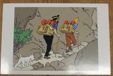 Carte postale Tintin