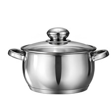 Swisgold Marmite Inox 20cm