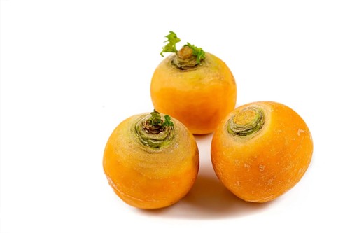 Navet jaune boule - navet, |