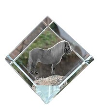 Poney Shetland dé à cheval