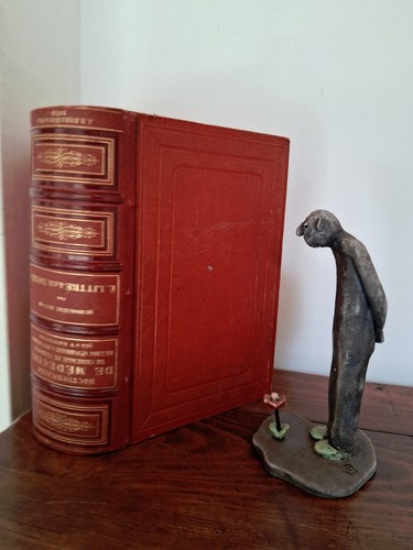 Dictionnaire medecine - dictionnaire,