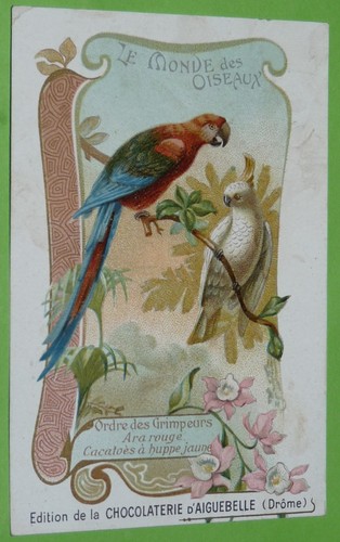 Chromo 1900 1920 chocolat - chromo, 1900-1920