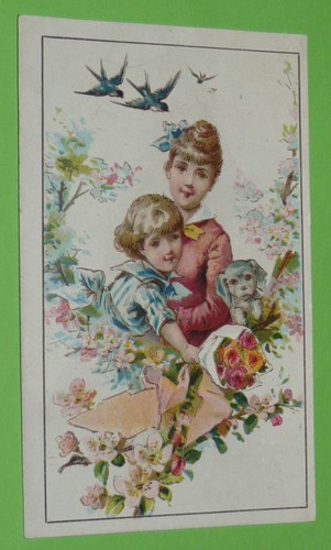 Chromo 1895 1914 chicoree - 1895-1914,