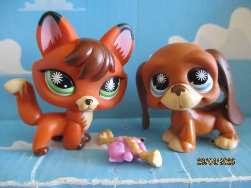 Petshop duo renard 807 - :,