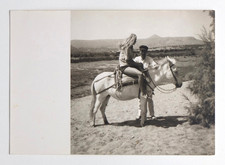 Jeune femme cheval blanc poney