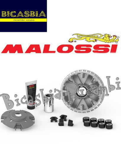 11866 variateur malossi - variateur,