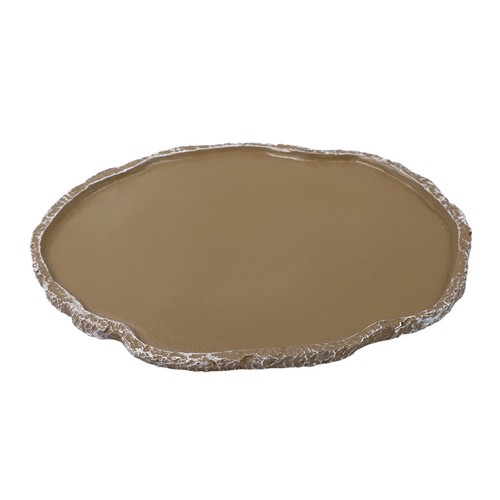 Aliment tortue terrestre - tortue,