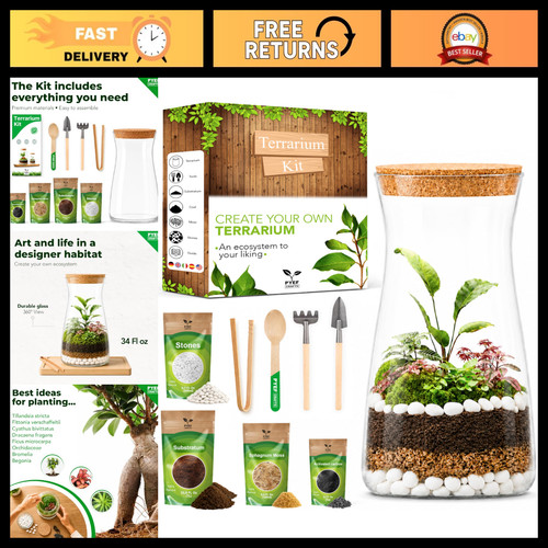Diy terrarium kit - terrarium, glass