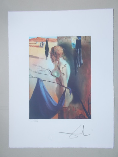 Lithographie salvador dali - ,