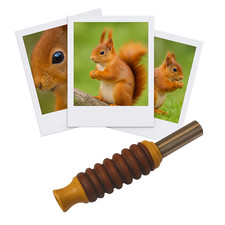 Appeau - Animaux - Ecureuil