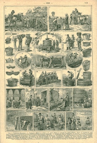 Document ancien vin issu - , du