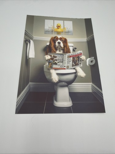 Affiche chien cavalier - chien,