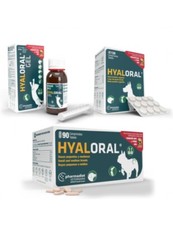 HYALORAL¹ complement articulaire arthrose chien chat gel oral boite 90 ou 120 cc