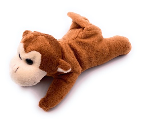 Peluche singe capucin - capucin, 17