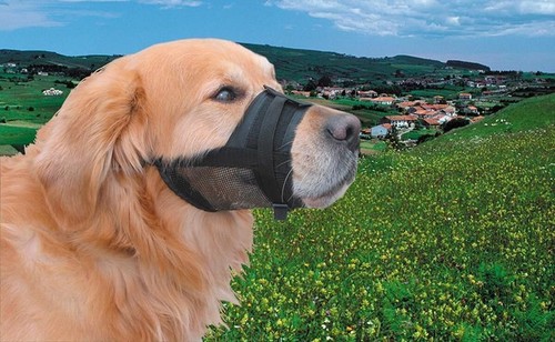Muselière nobby chien - ,