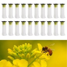 Promote Bee Colony Health 20