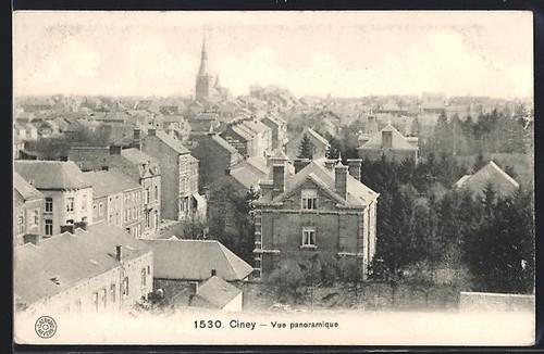 Cpa ciney vue panoramique - cpa,