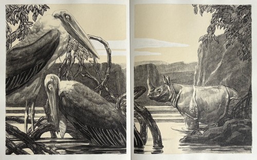 Paul jouve gravure animalière - jouve,