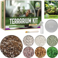 Medium DIY Terrarium Kit With